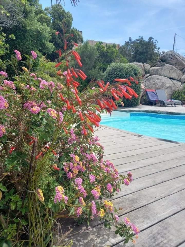 Residence Stella D'Oro Porto-Vecchio  Exteriör bild